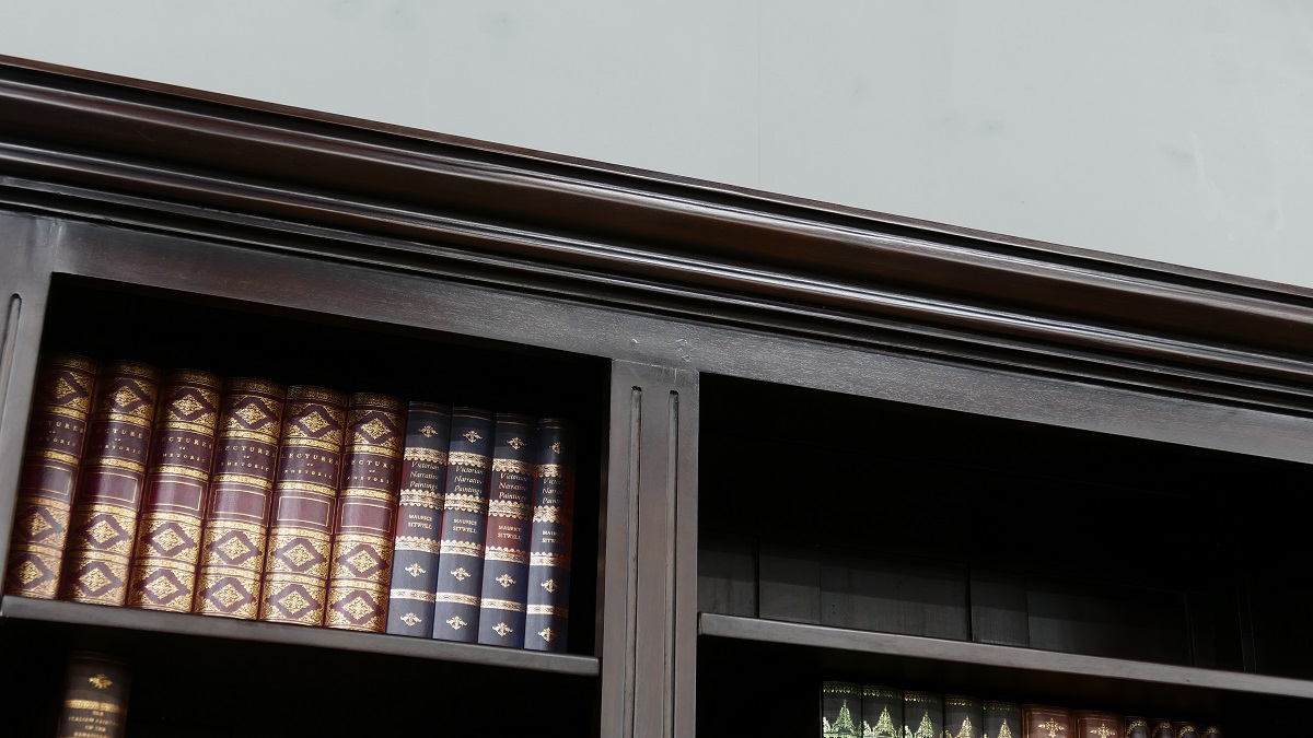 Buffet Bücherschrank Buchregal aus massiv Mahagoni Handarbeit